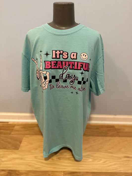 It's a beautiful Day to leave me Alone T-Shirt